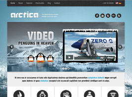 AIT Themes Arctica Beautiful WordPress Theme