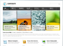 AIT Themes Corporate WordPress Theme