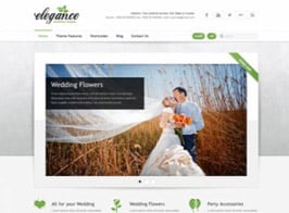AIT Themes Elegance WordPress Theme