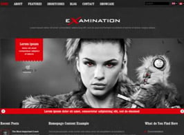 AIT Themes Examination WordPress Theme