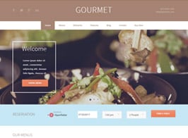 AIT Themes Gourmet WordPress Theme