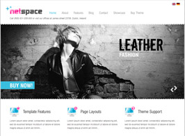 AIT Themes Netspace WordPress Theme