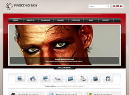 AIT Themes Pinocchio WordPress Theme