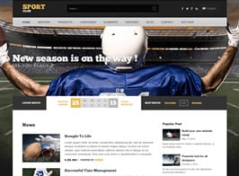 AIT Themes SportClub WordPress Theme