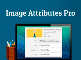 Auto Image Attributes Pro – Image Title & Alt Text For Image SEO