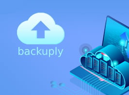 Backuply Pro – WordPress Backup Plugin