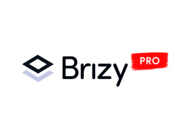 Brizy Pro