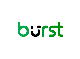 Burst Pro – Privacy-Friendly Analytics for WordPress