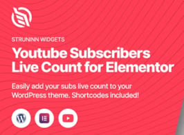 Struninn – Youtube Subscribers Live Count