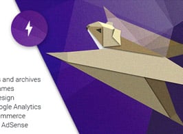 WP AMP – Accelerated Mobile Pages for WordPress and WooCommerce