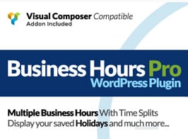 Business Hours Pro WordPress Plugin