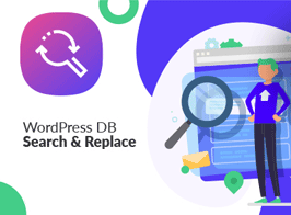 WordPress Database Search & Replace