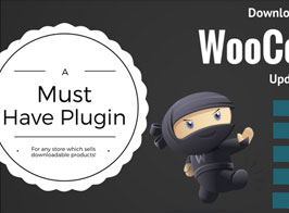 Downloadable Product Update E-mails WooCommerce