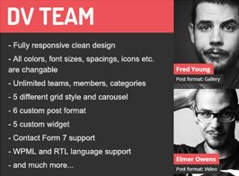 DV Team Responsive Team Showcase WordPress Plugin