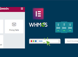 Elementor WHMCS Elements Pro For Elementor Page Builder