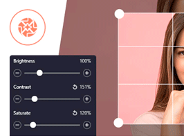 ProVision Image Editor for WordPress / WooCommerce with Folders File Manager