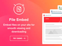 Elfsight File Viewer – WordPress File Embed Plugin
