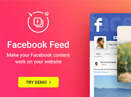 Elfsight Facebook Feed – WordPress Facebook Plugin