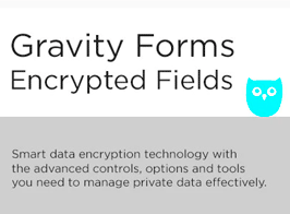 Gravity Forms Encrypted Fields