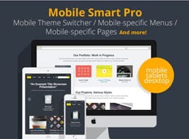 Mobile Smart Pro – mobile switcher, mobile-specific content, menus, and more.