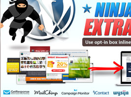 Ninja Widget Extra Add-on