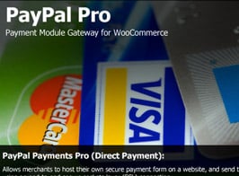 PayPal Pro Payment Module for WooCommerce