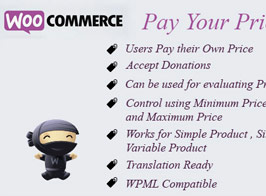 Pay Your Price – WooCommerce