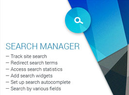 Search Manager – Plugin for WooCommerce and WordPress