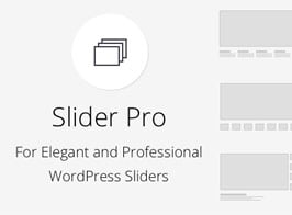 Slider Pro – Responsive WordPress Slider Plugin