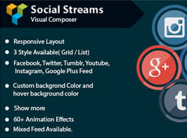 Social Streams With Carousel – Visual Composer