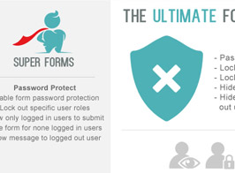 Super Forms Password Protect & User Lockout & Hide