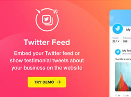 Elfsight Twitter Feed – WordPress Twitter Plugin