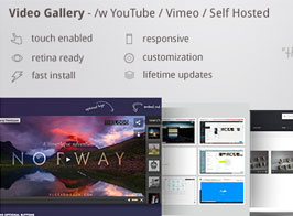 DZS Video Gallery WordPress Plugin /w YouTube, Vimeo, Facebook pages