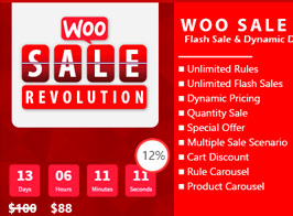 Woo Sale Revolution – Flash Sale+Dynamic Discounts