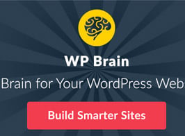 WP Brain – A Brain for Your WordPress WebSite