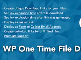 WP One Time File Download – Unique Link Generator WordPress Plugin
