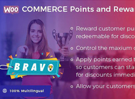 Bravo – WooCommerce Points and Rewards – WordPress Plugin