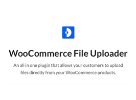 AJAX File Upload (600+ filetypes) WooCommerce