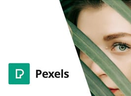 Pexels – Import Free Stock Images into WordPress