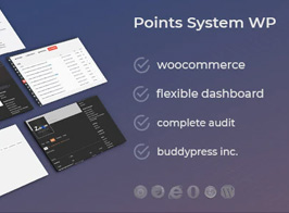 DZS WooCommerce Easy Point System Packages