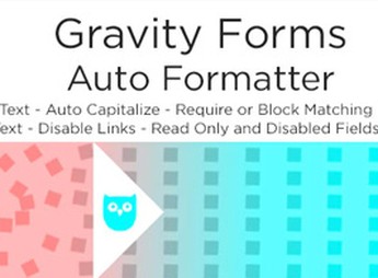 Gravity Forms Auto Formatter