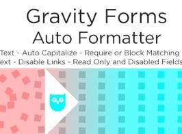 Gravity Forms Auto Formatter