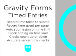 Gravity Forms Timed Entries