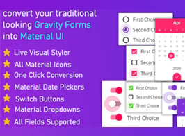 Gravitizer – Gravity Forms Material UI Styler