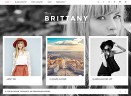 CSSIgniter Brittany