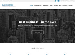 CSSIgniter Business3ree – Agency & Portfolio WordPress Theme