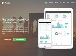 CSSIgniter Struct – WordPress Theme for Software & SaaS