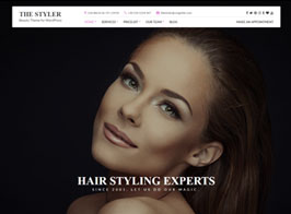 CSSIgniter The Styler – Beauty & Health WordPress Theme