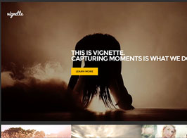 CSSIgniter Vignette