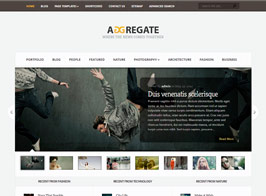 Elegant Themes Aggregate